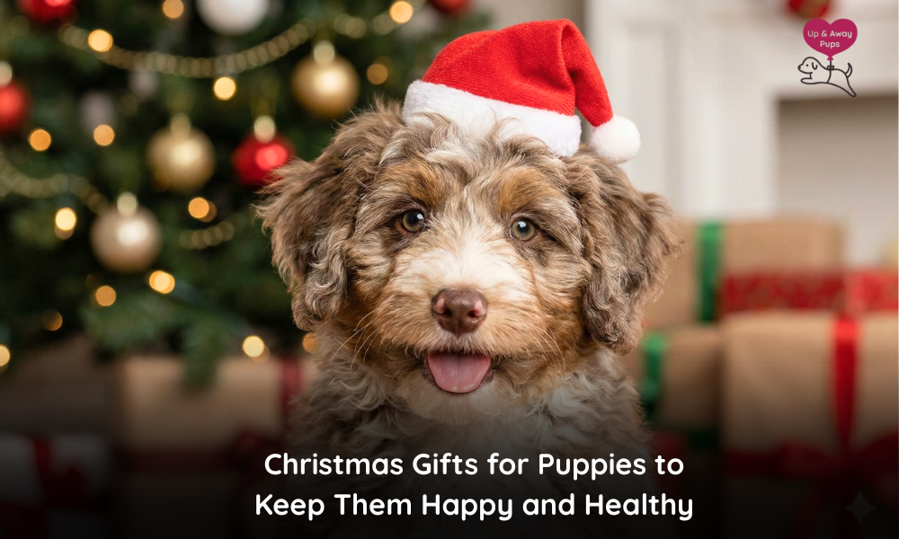 Christmas Gifts for Puppies