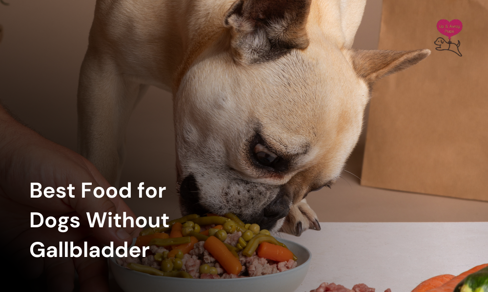 Best Food for Dogs Without Gallbladder