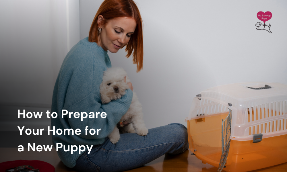 How to Prepare Your Home for a New Puppy