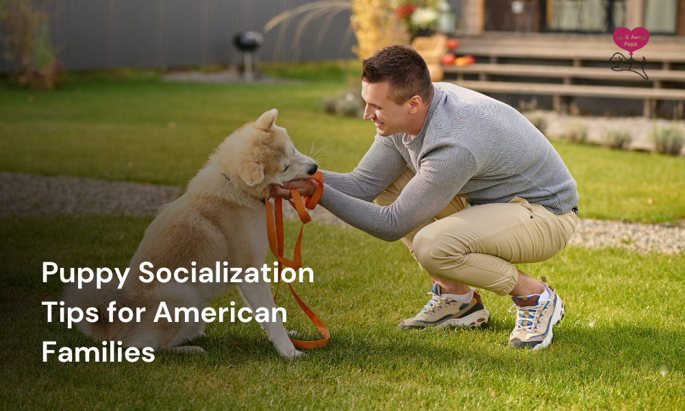 Puppy Socialization Tips for American Families