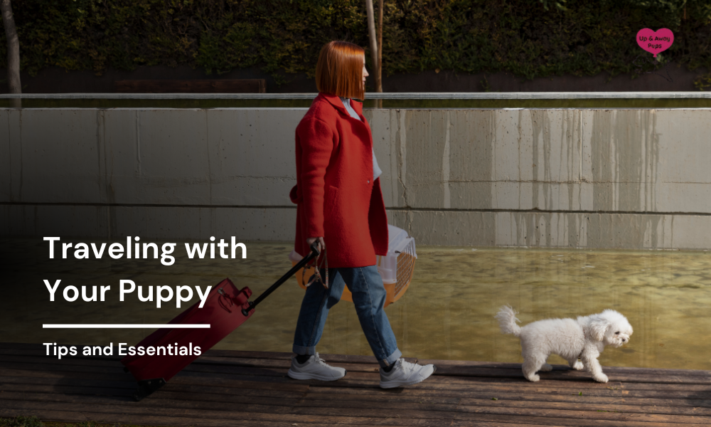 Tips and Essentials for Traveling with Your Puppy