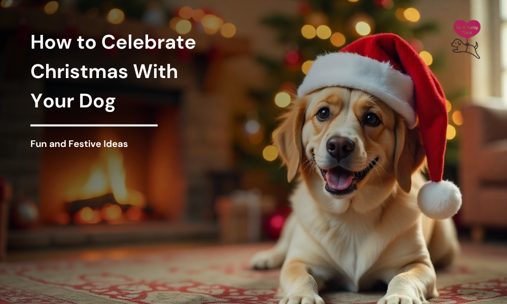 Celebrate Christmas With Your Dog