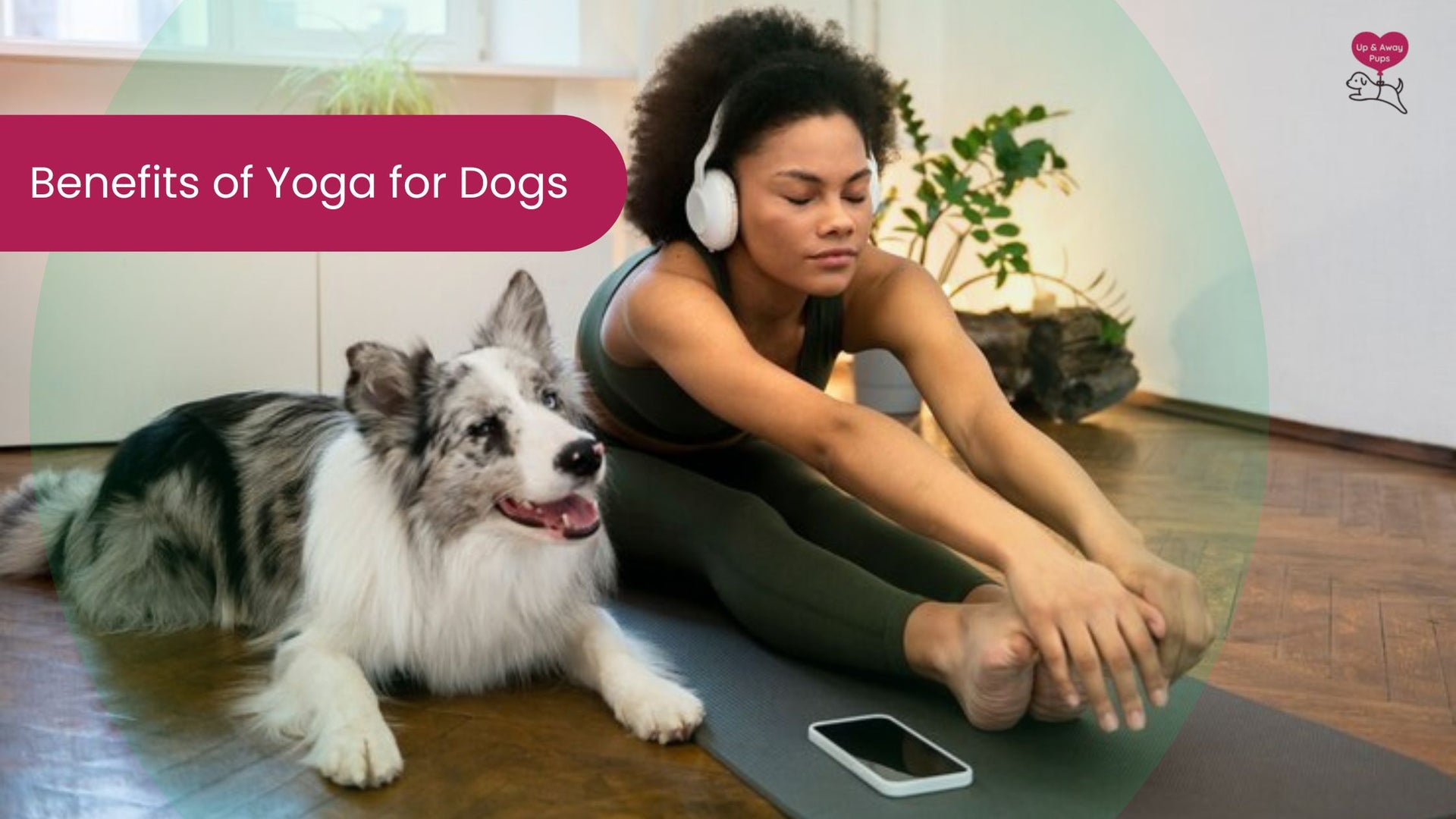 benefits of yoga for dogs