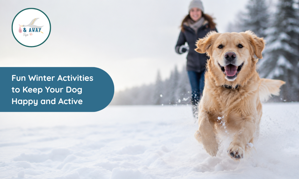 Fun Winter Activities to Keep Your Dog Happy and Active