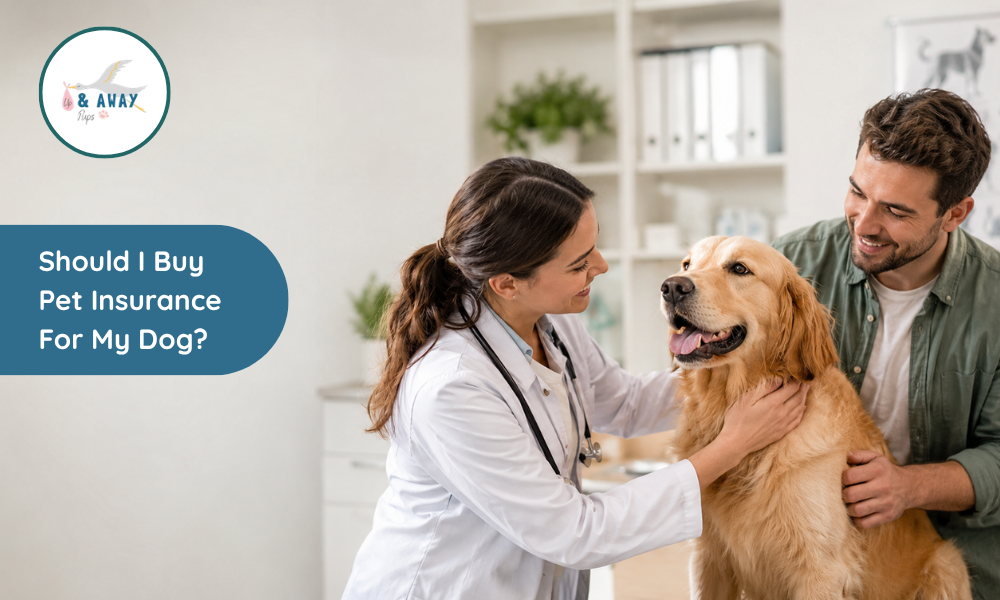 Should I Buy Pet Insurance For My Dog?