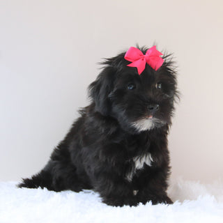 Jess - Available 7/23