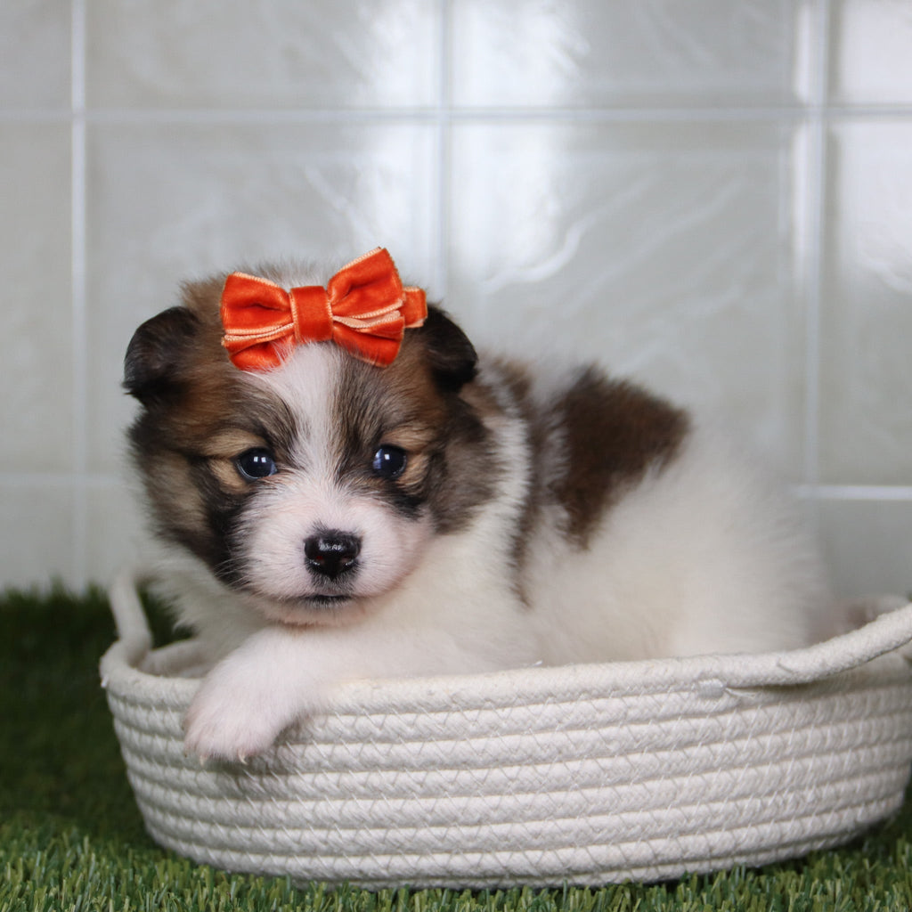 Naomi - Available 5/14