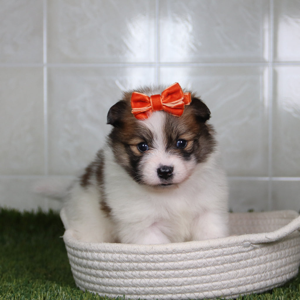 Naomi - Available 5/14