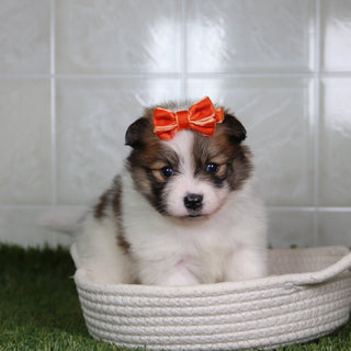 Naomi - Available 5/14