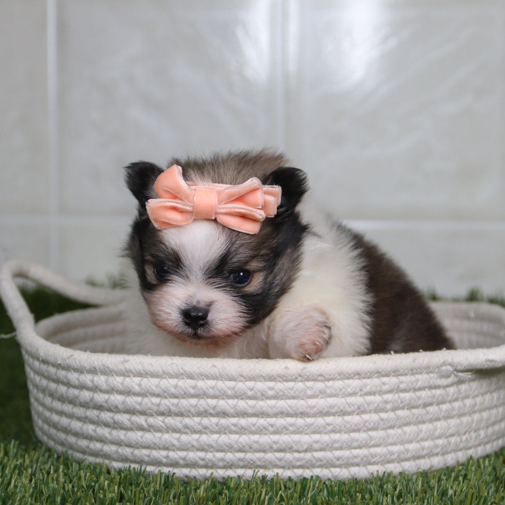 Nancy - Available 5/14