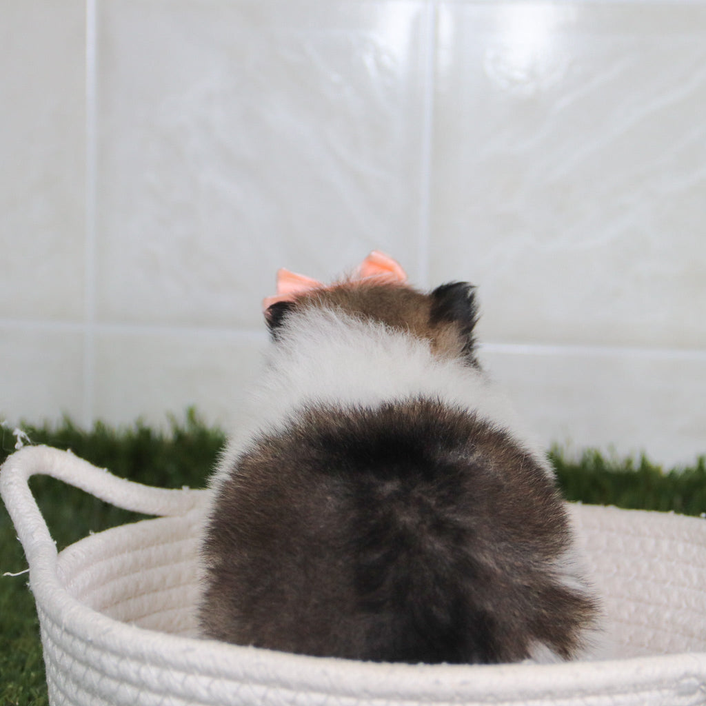 Nancy - Available 5/14