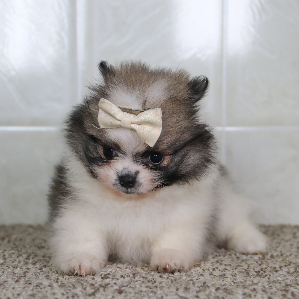 Nancy - Available 5/14