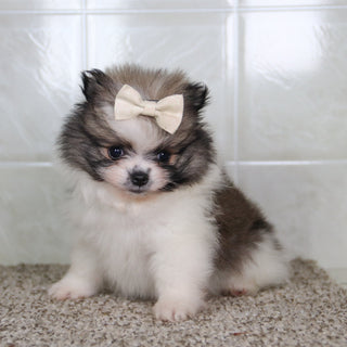 Nancy - Available 5/14