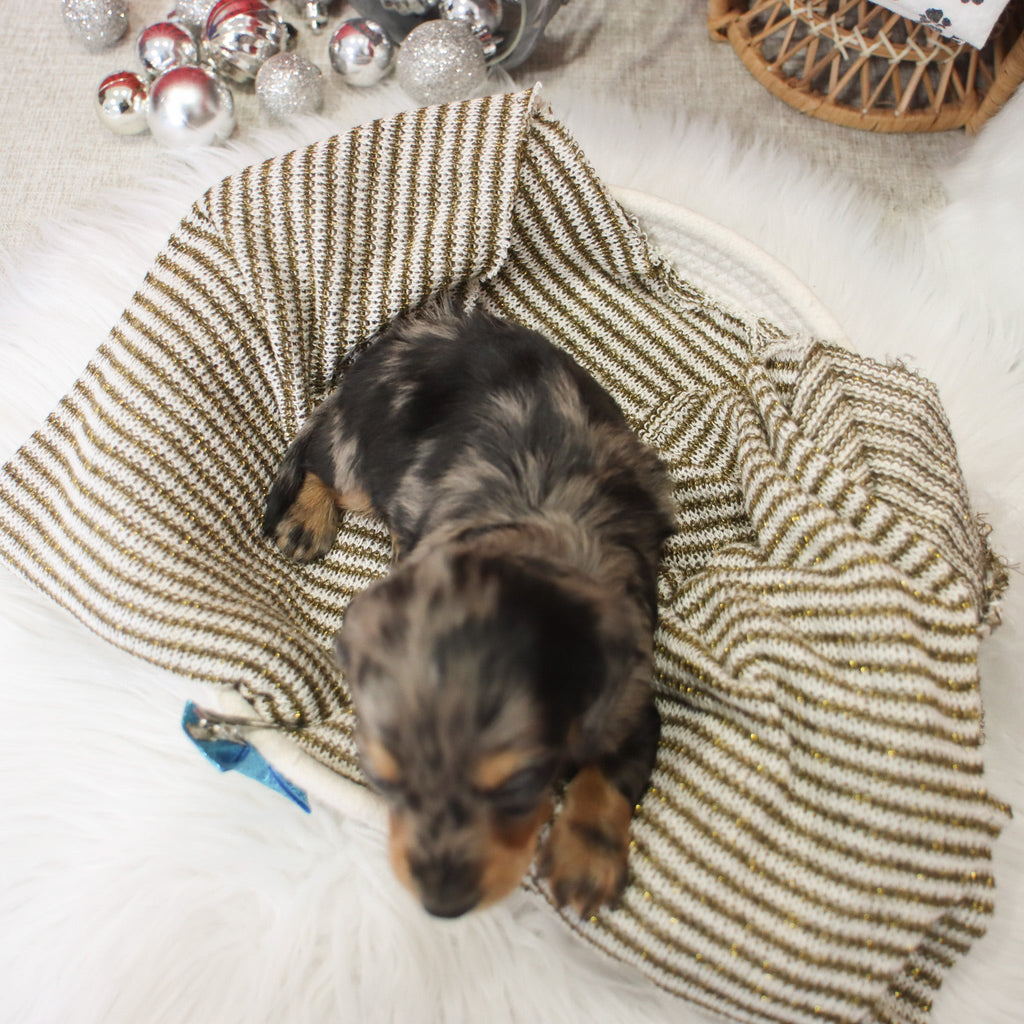 Ron - Available 1/15