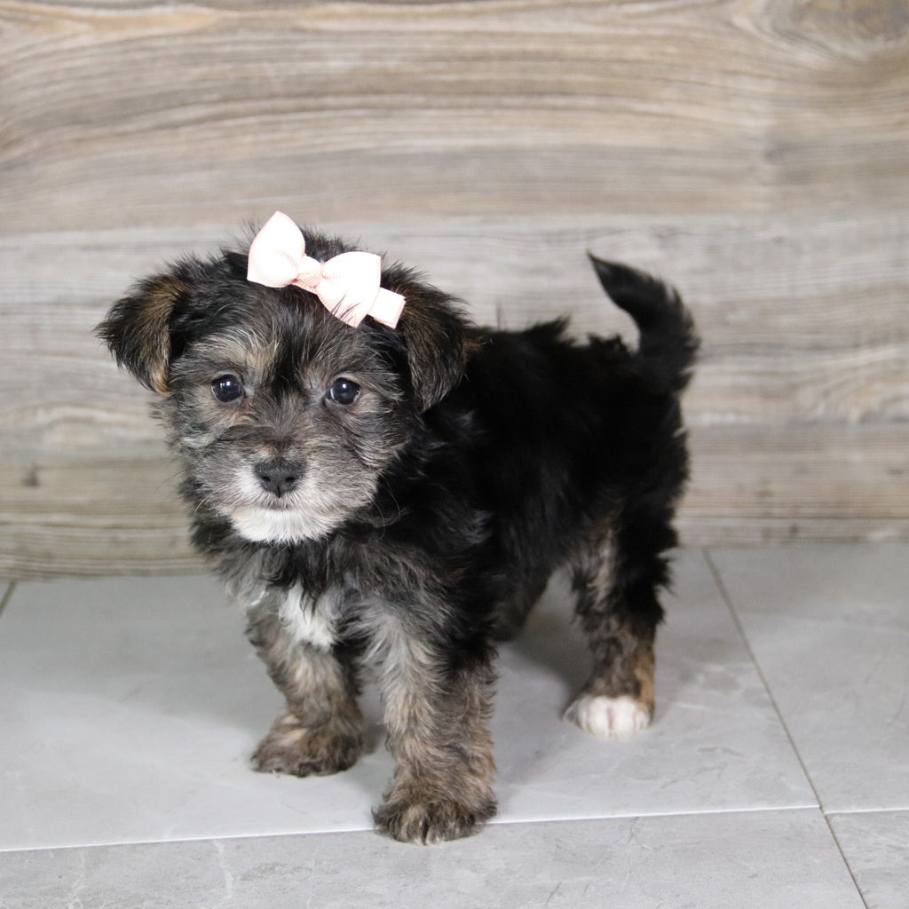 Karen - Available 5/21