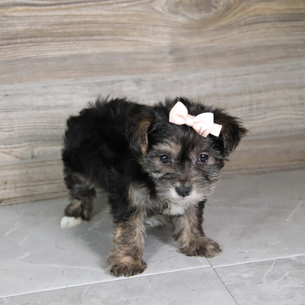 Karen - Available 5/21