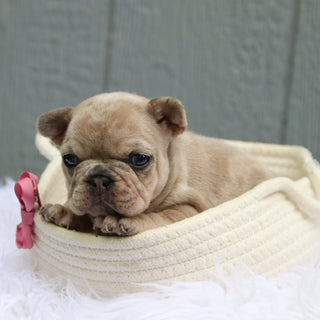 Samantha - Available 6/11