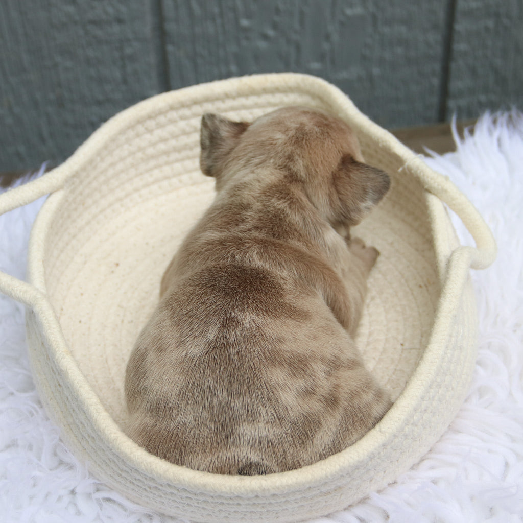 Samantha - Available 6/11