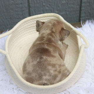 Samantha - Available 6/11
