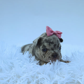 Leah - Available 9/10