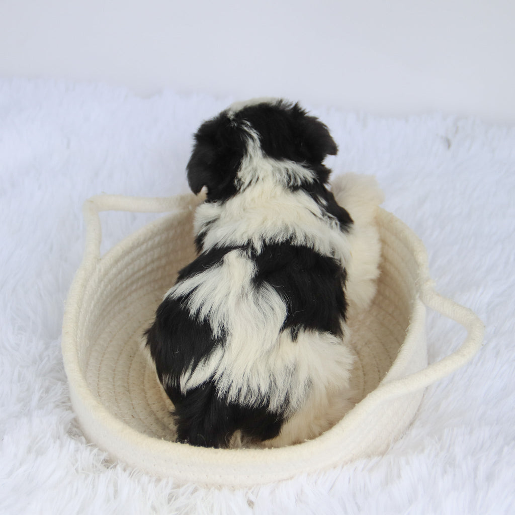 Jake - Available 9/3