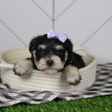 Jessica - Available 12/31