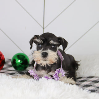 Jessica - Available 12/31