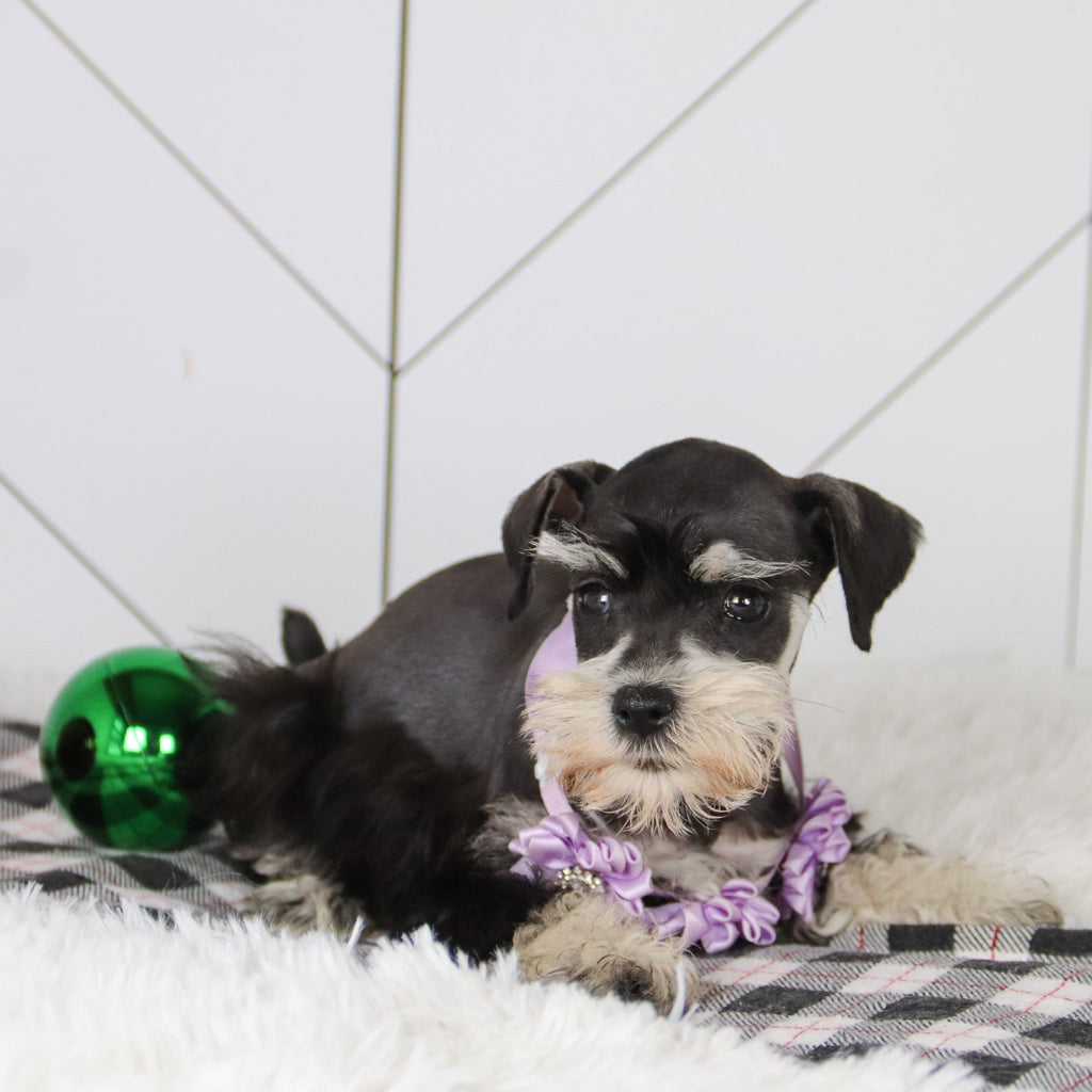 Jessica - Available 12/31