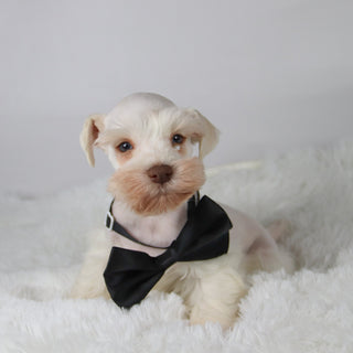 Delaware - Available Now