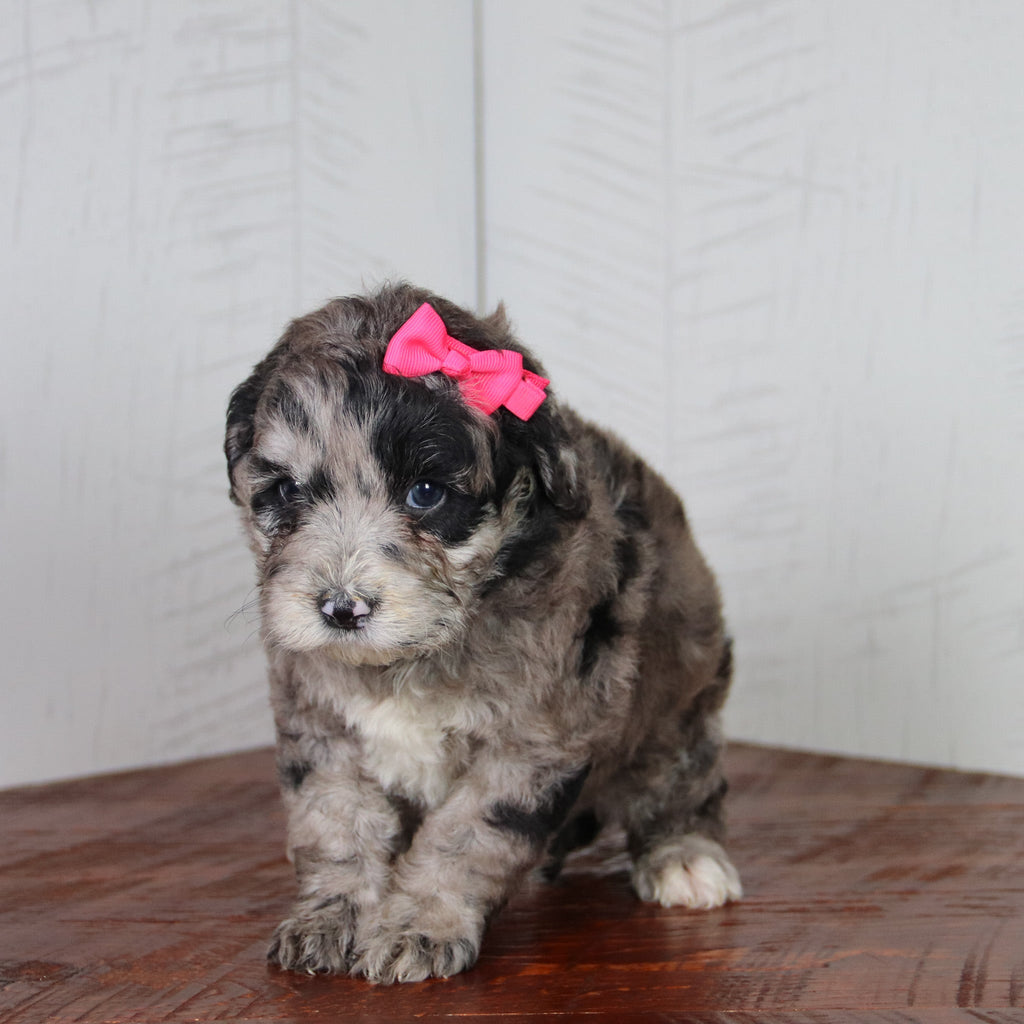 Katie - Available 6/4