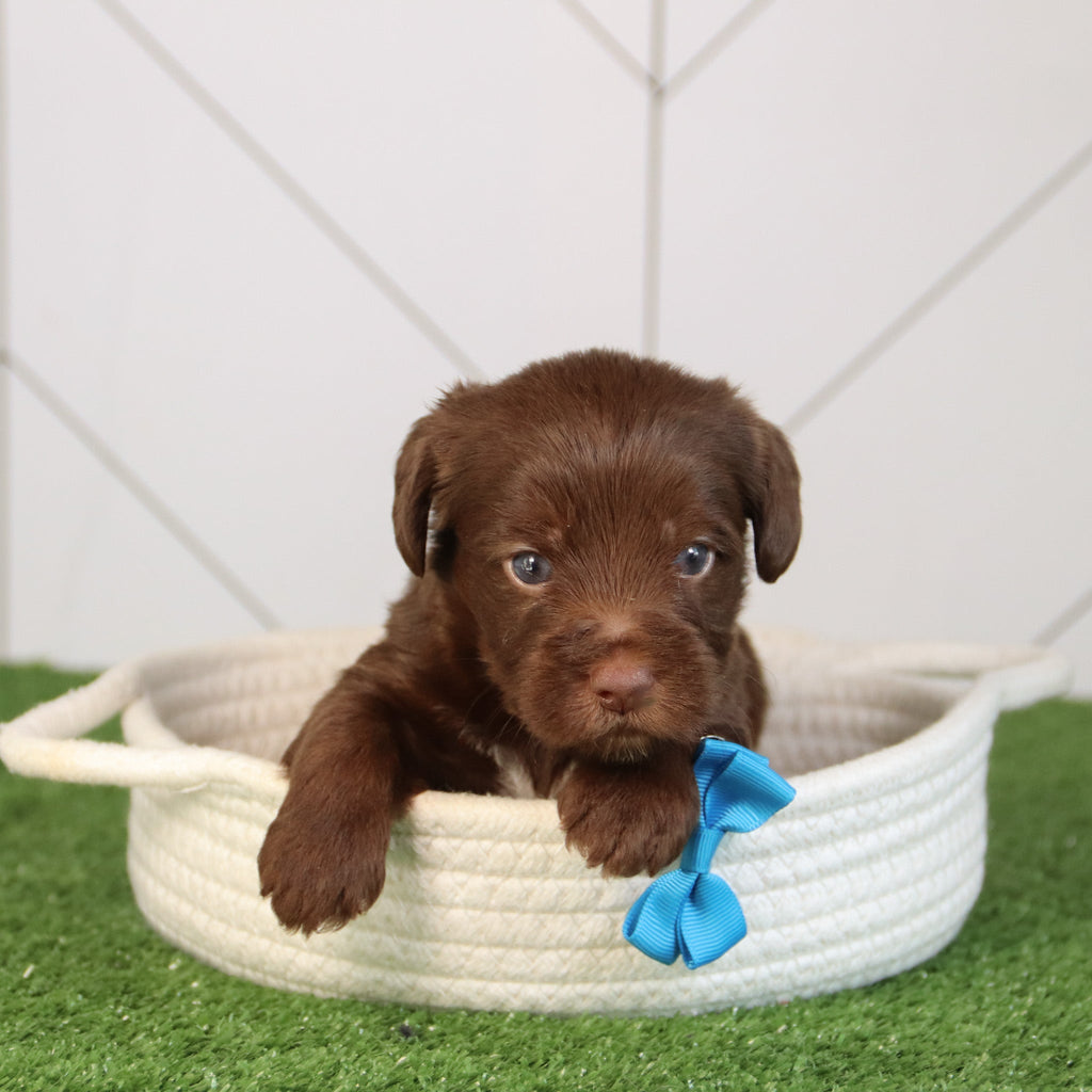 Elton - Available 5/28