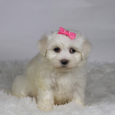 Kari - Available 11/12