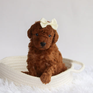 Stormy - Available 9/24