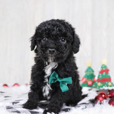 Aldred - Available 12/3