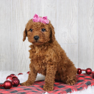 Beatha - Available 12/3