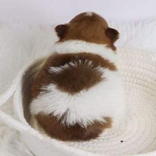 Began - Available 12/3