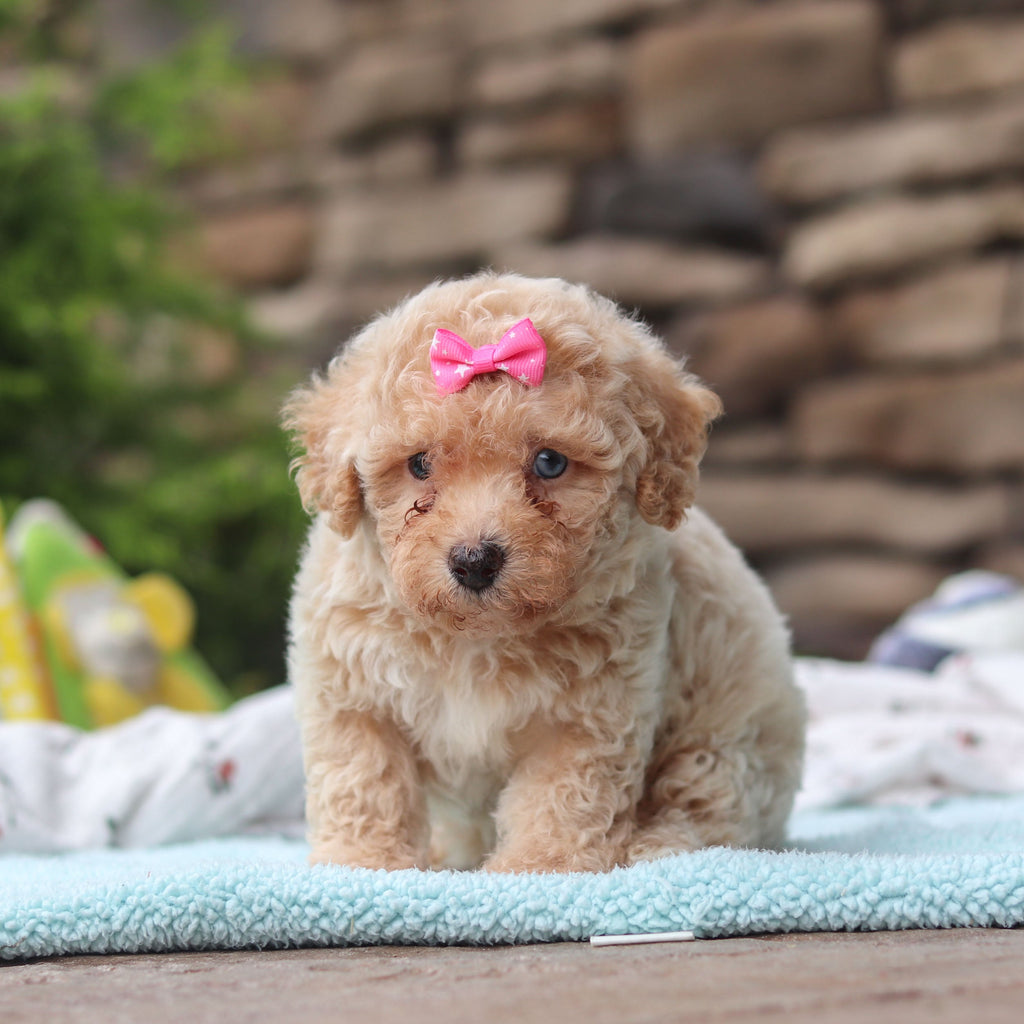 Matilda - Available Now