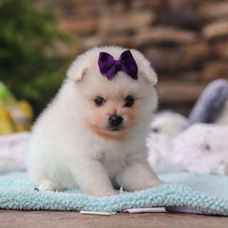 Tina - Available 6/25