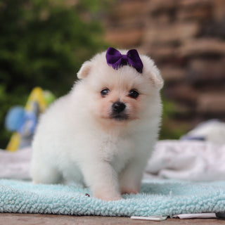 Tina - Available 6/25