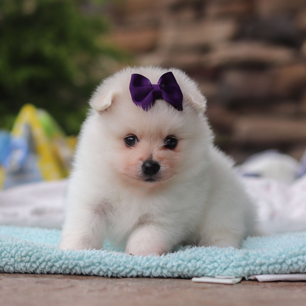 Tina - Available 6/25