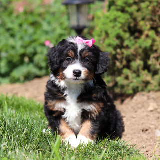 Raquel - Available 6/18