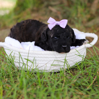 Debbie - Available 8/6