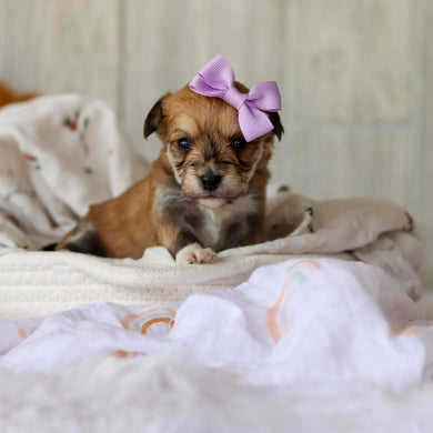 Alina - Available 6/4