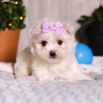 Janet - Available 3/5