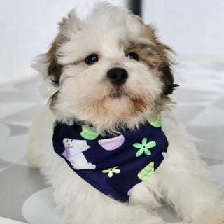 Colby - Available Now