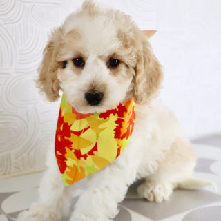 Sebastians - Available Now