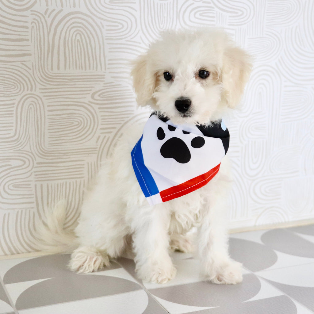 Cleveland - Available Now