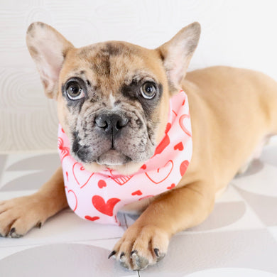 Dilan - Available Now