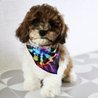 Buckeye - Available Now