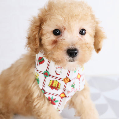 Blue - Available Now